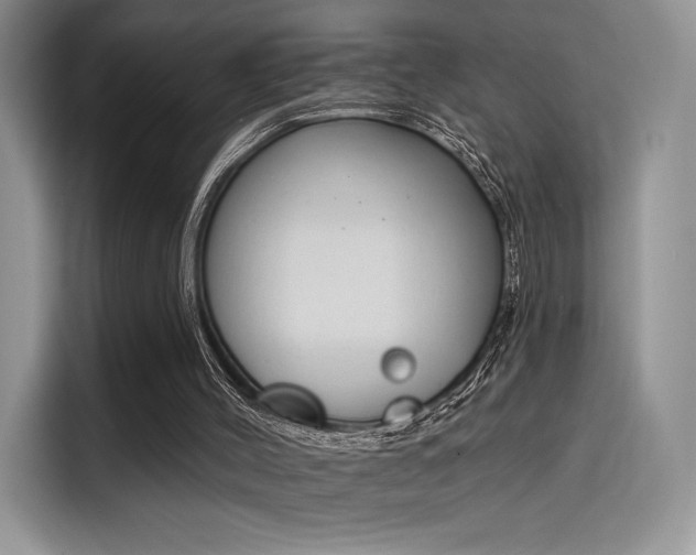 X0000114240004200910161644