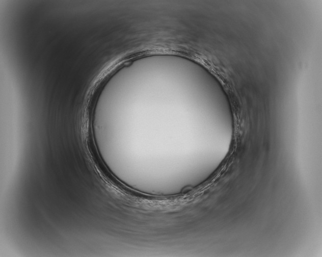 X0000114240005200910161644