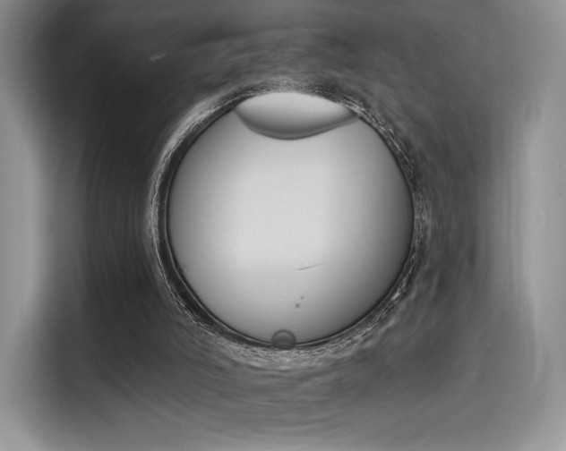 X0000114240006200910161644