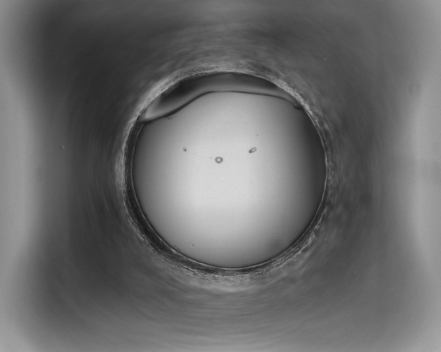 X0000114240008200910161644