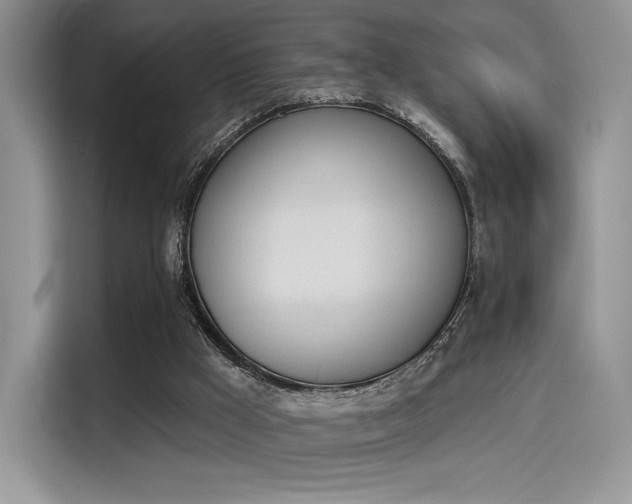 X0000114240009200910161644