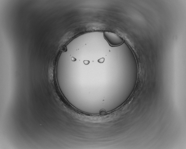 X0000114240010200910161644