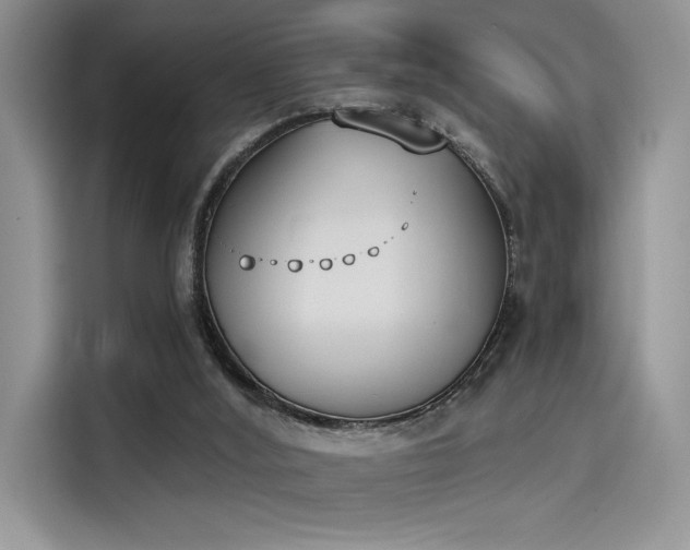 X0000114240012200910161644