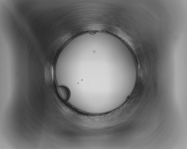 X0000114240013200910161644