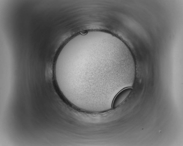 X0000114240015200910161644
