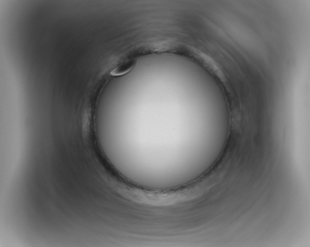 X0000114240018200910161643