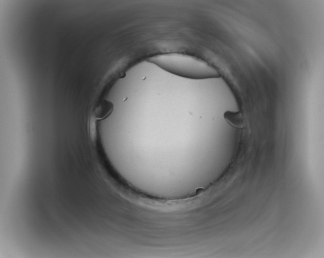 X0000114240019200910161643