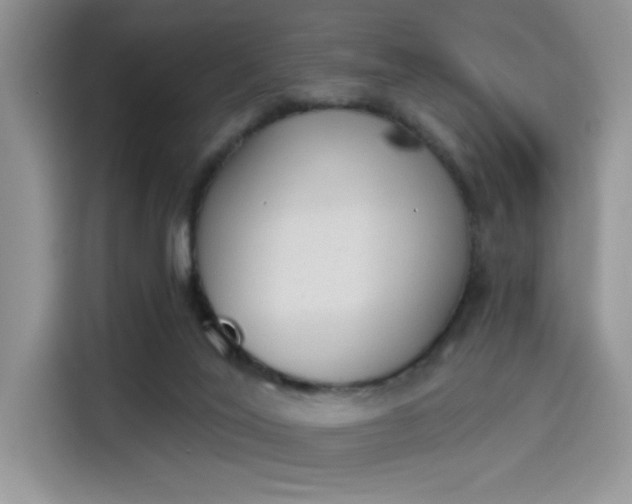 X0000114240020200910161643