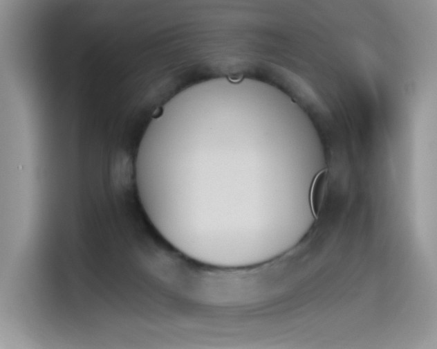 X0000114240025200910161643
