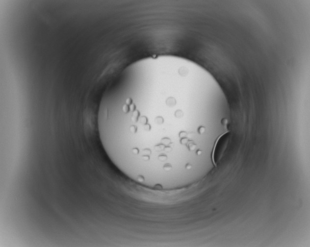 X0000114240035200910161643