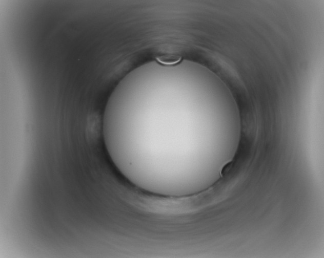 X0000114240036200910161643