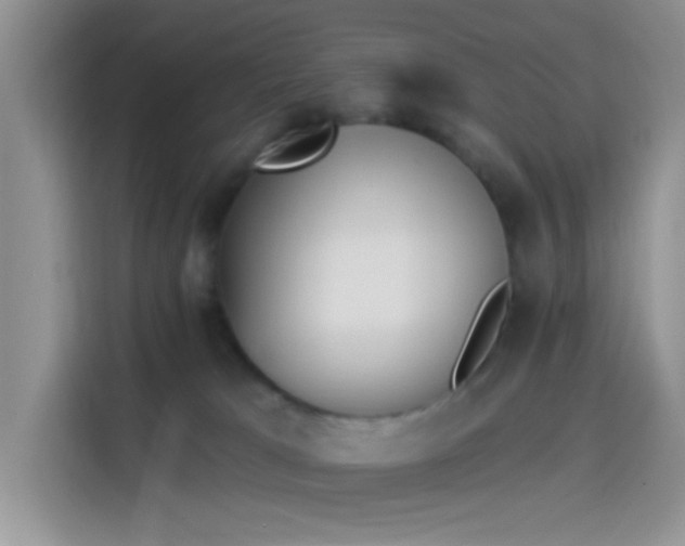X0000114240037200910161643