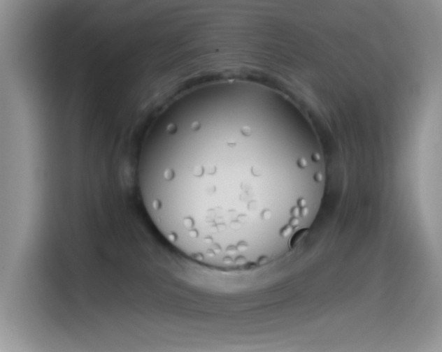 X0000114240039200910161643