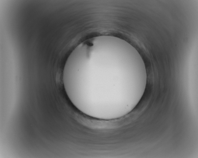 X0000114240044200910161643