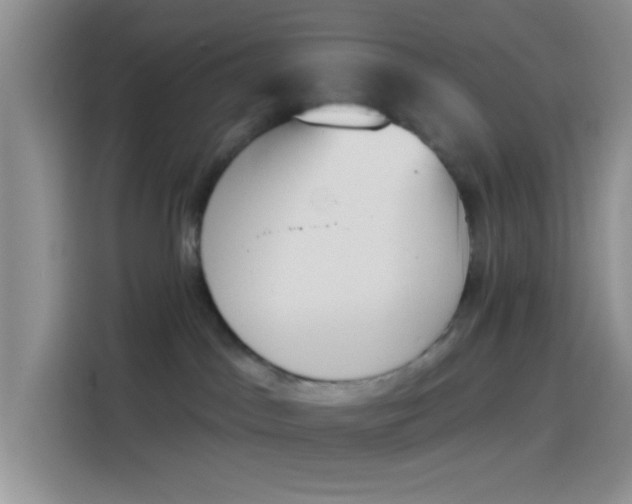 X0000114240045200910161643