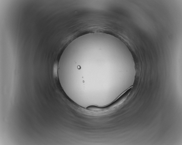 X0000114240047200910161643