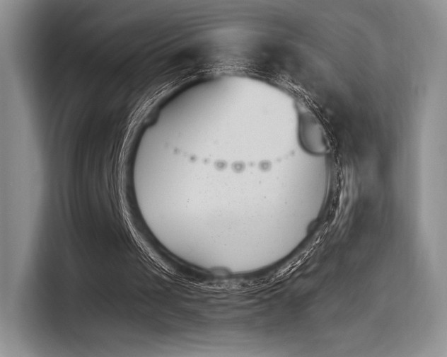 X0000114240049200910161642
