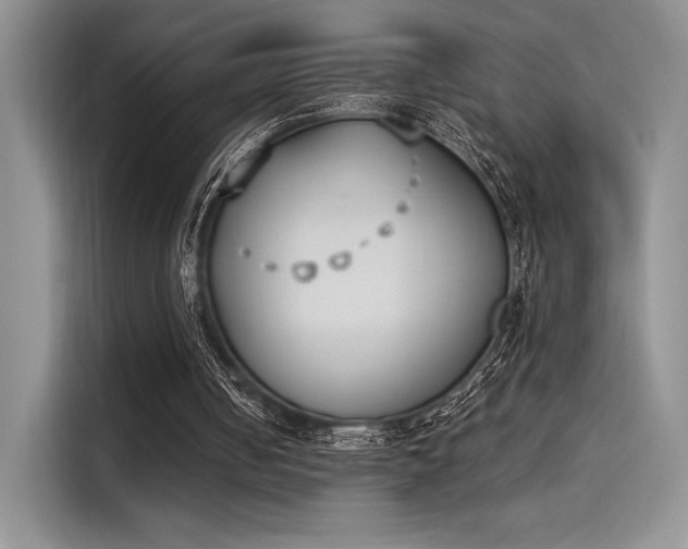 X0000114240050200910161642