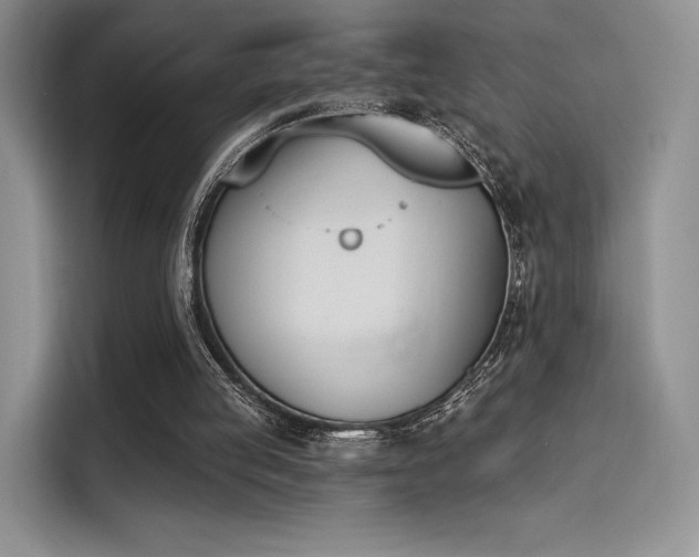 X0000114240053200910161642