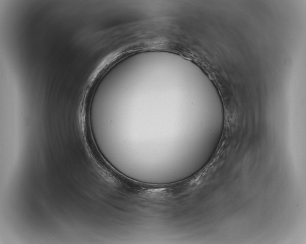 X0000114240054200910161642