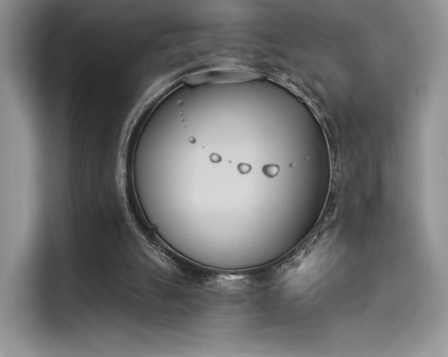 X0000114240055200910161642