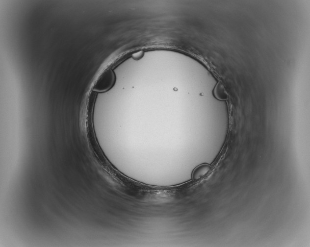 X0000114240056200910161642