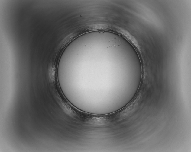 X0000114240057200910161642