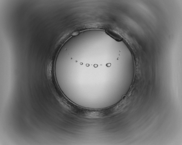 X0000114240058200910161642