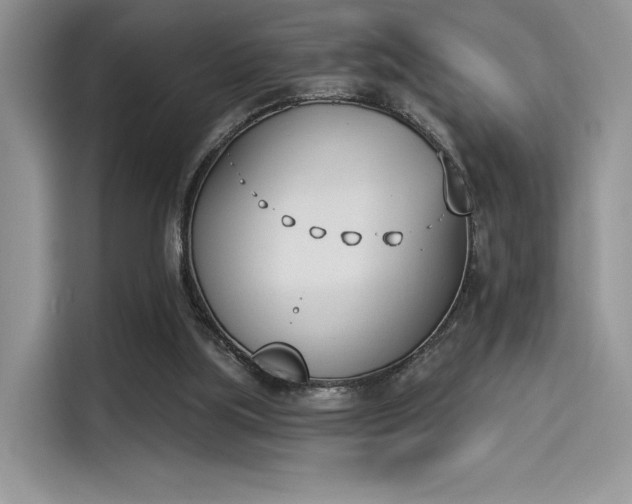 X0000114240059200910161642