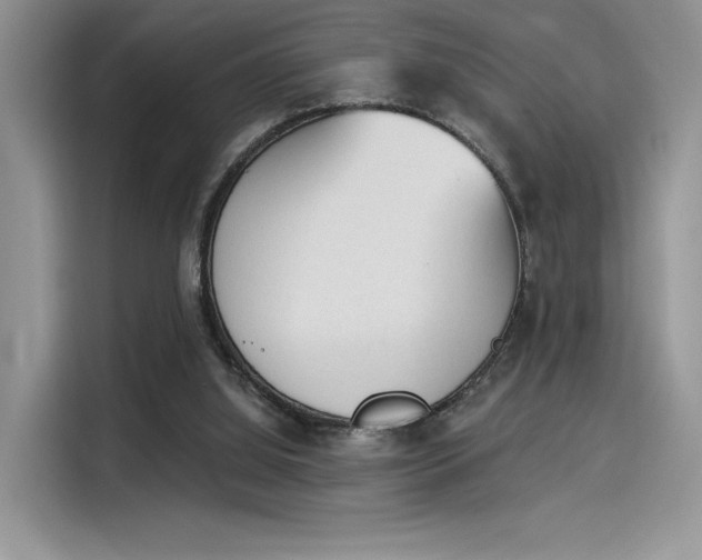 X0000114240060200910161642