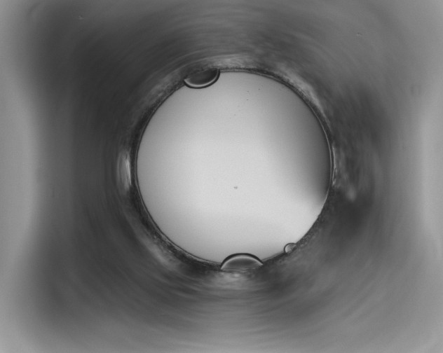 X0000114240061200910161642