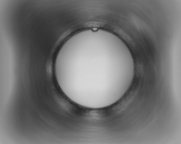 X0000114240064200910161643