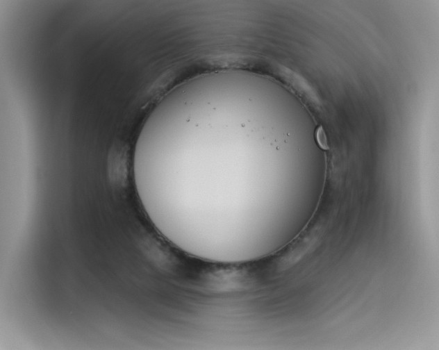 X0000114240065200910161643
