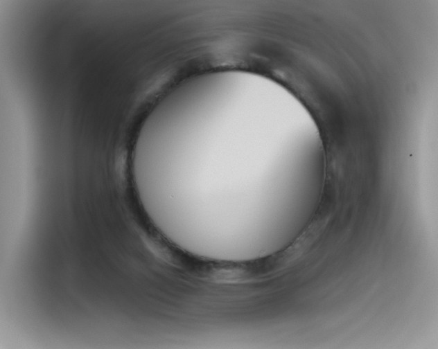 X0000114240066200910161643