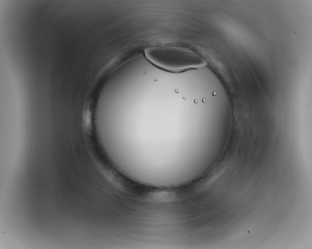 X0000114240067200910161643