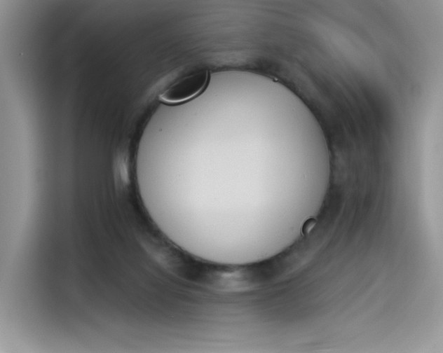 X0000114240068200910161643
