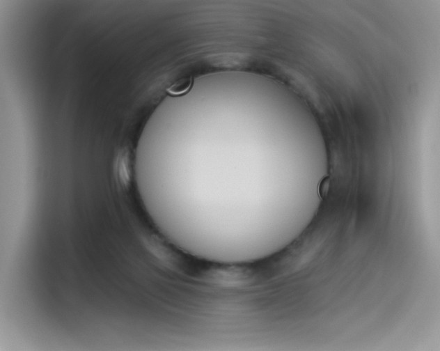 X0000114240069200910161643