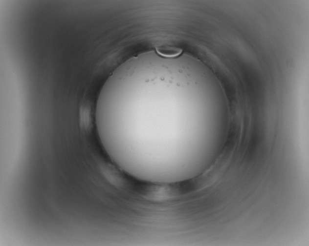 X0000114240074200910161643