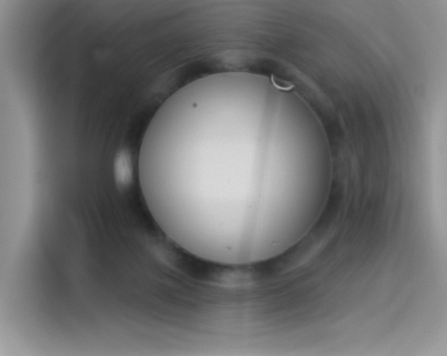 X0000114240075200910161643