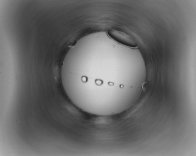 X0000114240077200910161643