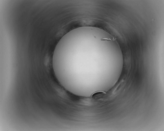 X0000114240079200910161643