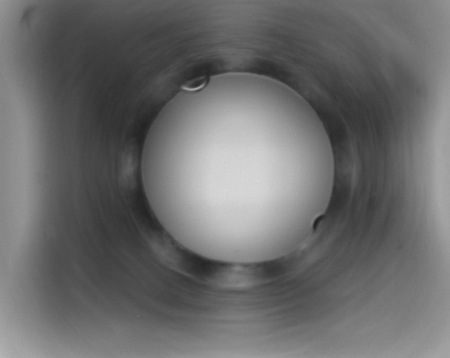 X0000114240082200910161643