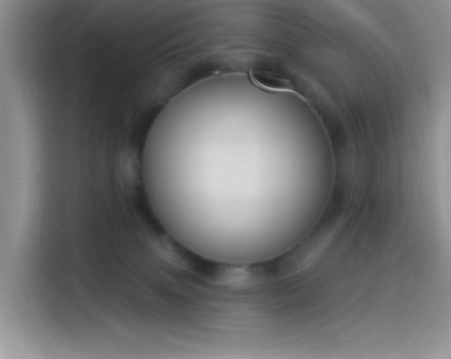 X0000114240083200910161643