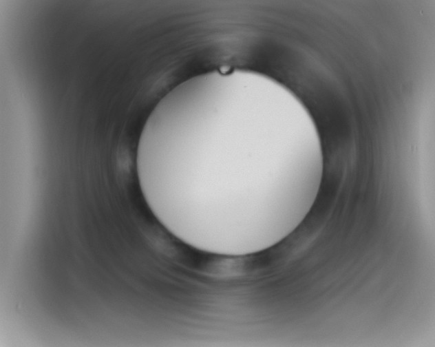 X0000114240084200910161643