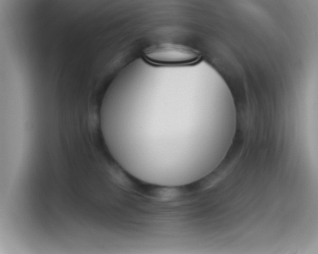 X0000114240085200910161643
