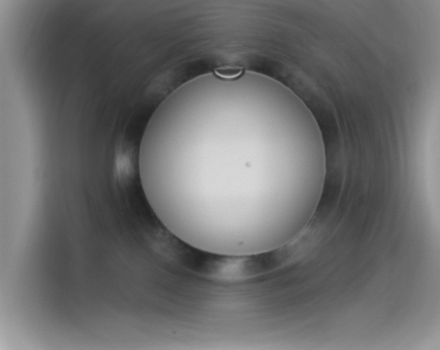 X0000114240090200910161643