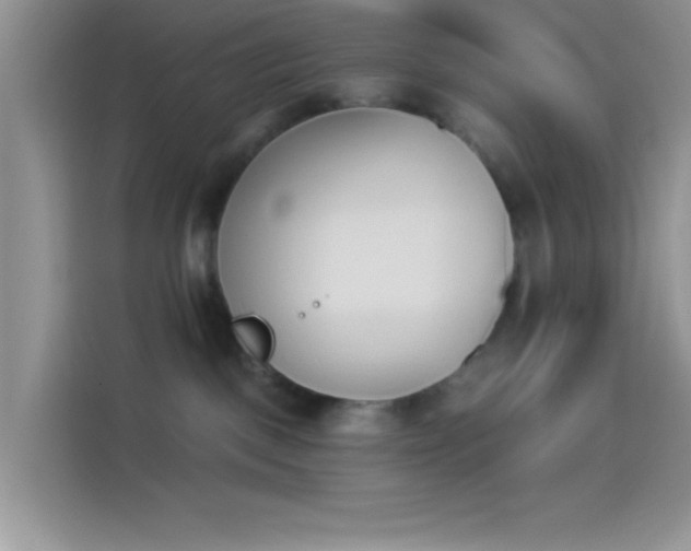 X0000114240093200910161643