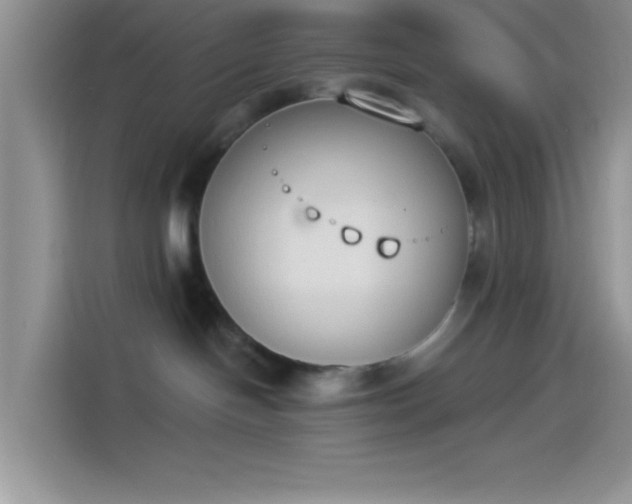X0000114240094200910161643