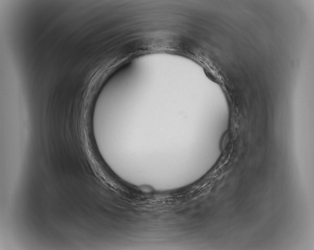 X0000114240097200910161642