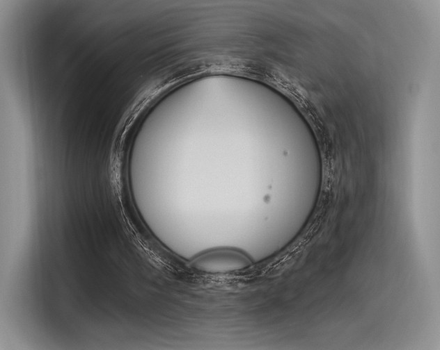 X0000114240098200910161642